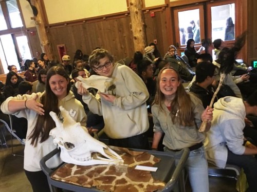 San Francisco Zoo Teen Volunteers Host the 2016 B.A.T.S. Teen Career Conference