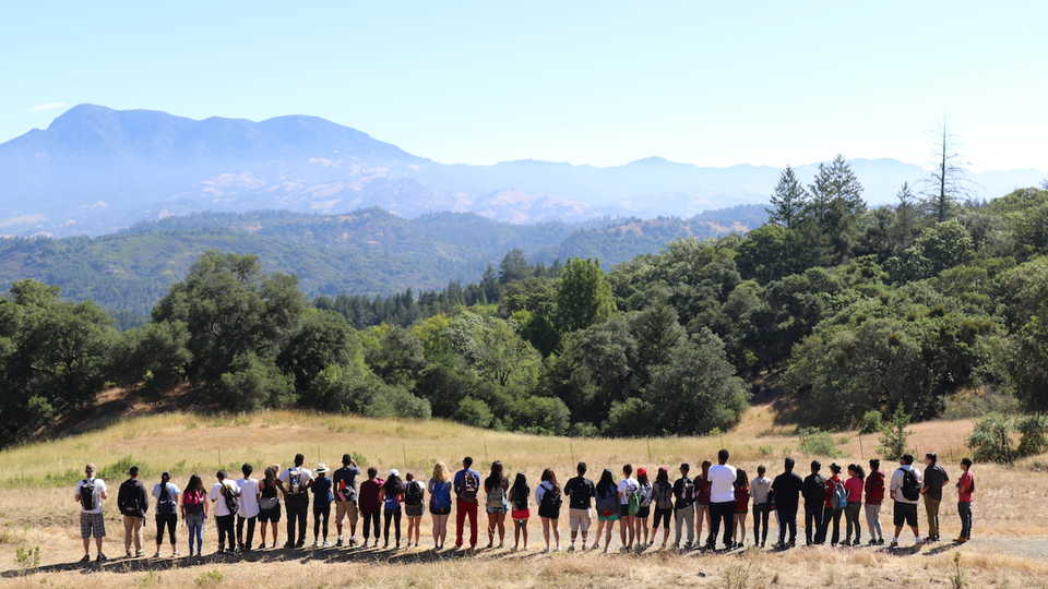 Careers in Science (CiS)