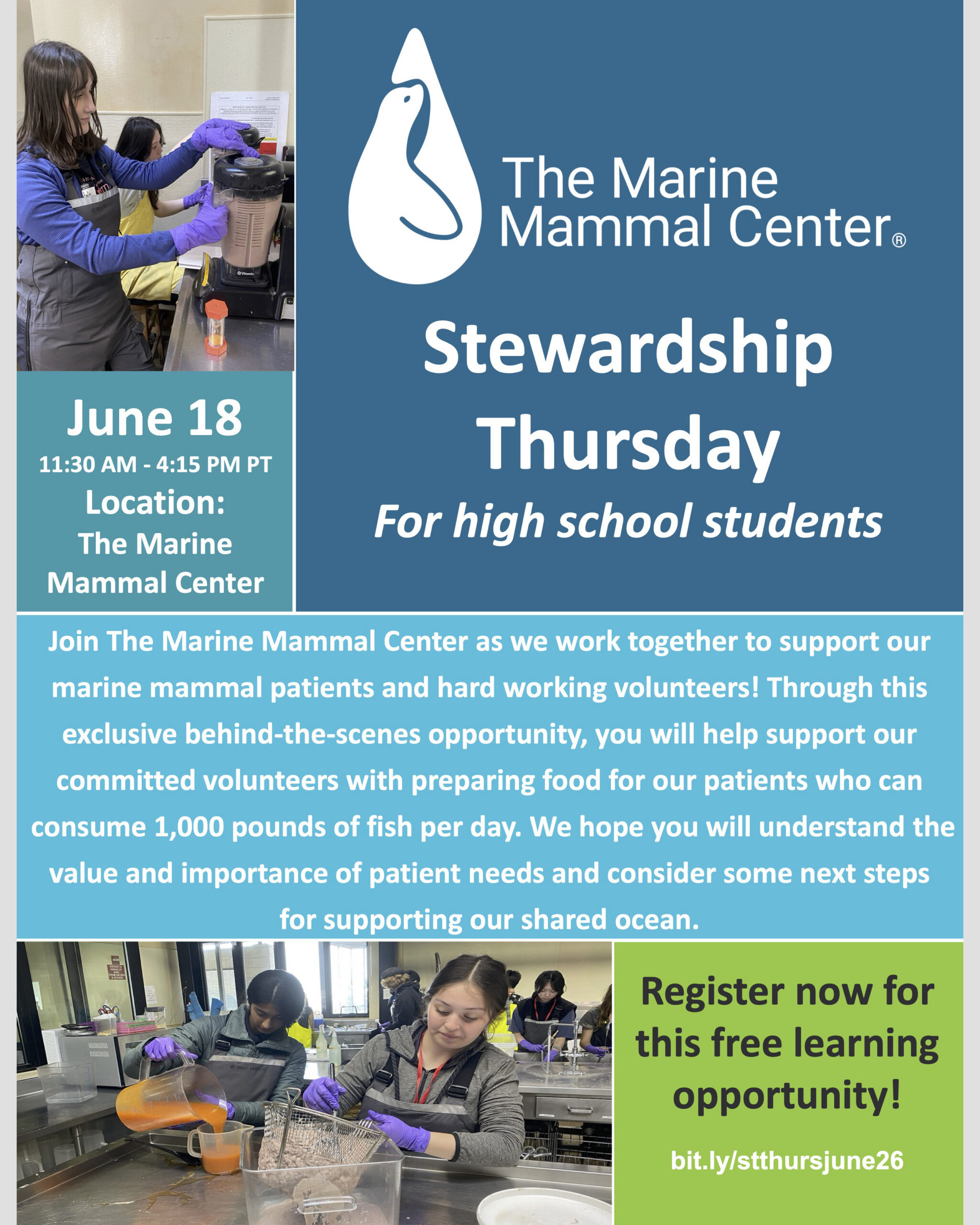 Stewardship Thursday: Experiencing Fish Kitchen