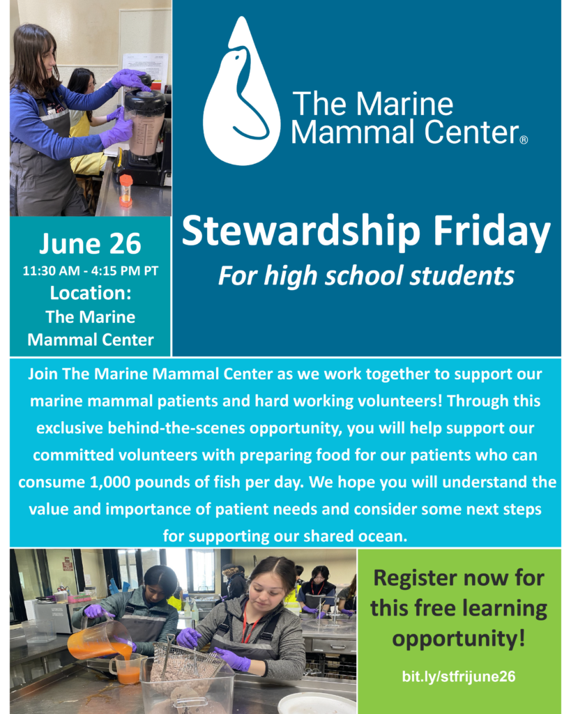 Stewardship Friday: Experiencing Fish Kitchen
